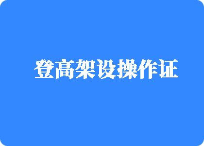 大鸡巴操处女高清视频登高架设操作证